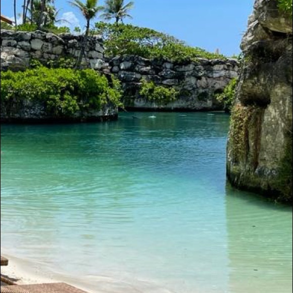 Meet your Posher, Bridgett - Picture 1 of 1